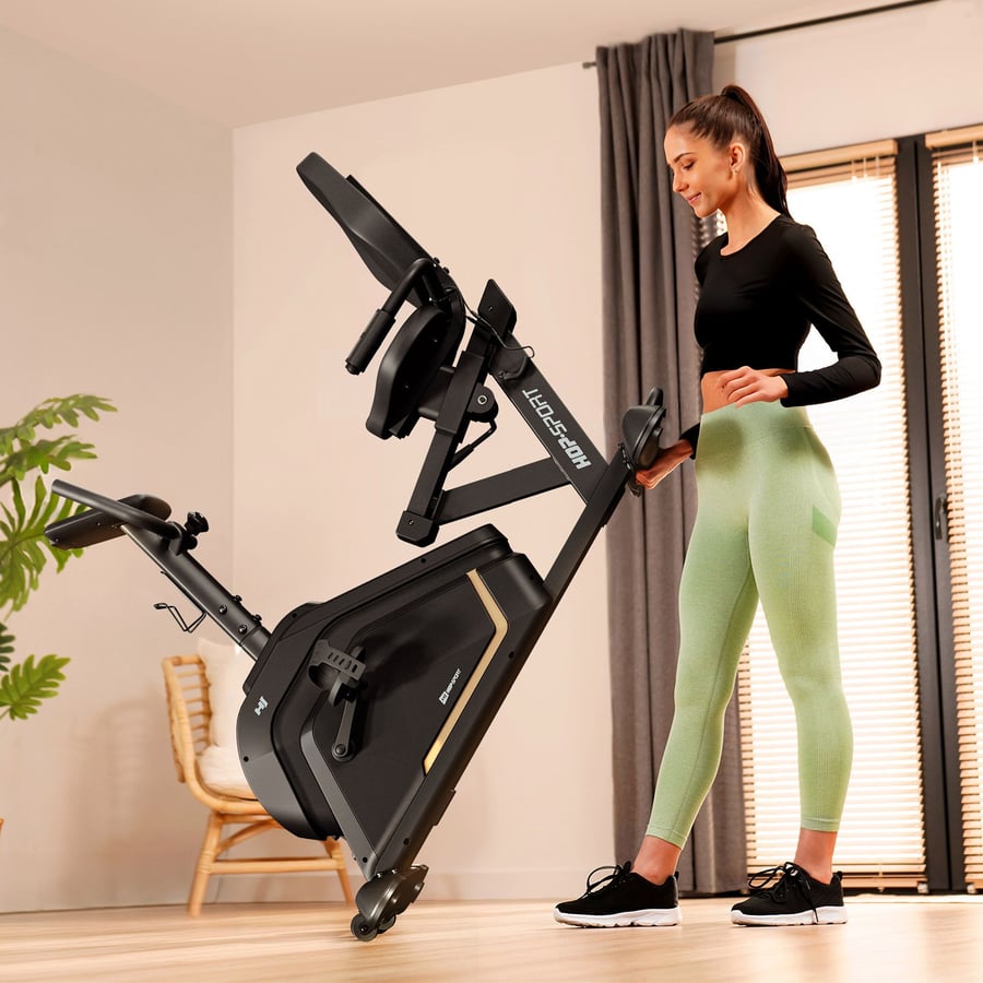 Rower leżący elektryczno-magnet - 2