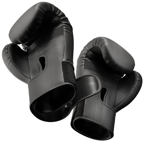 Rękawice bokserskie 10oz HS-BG1