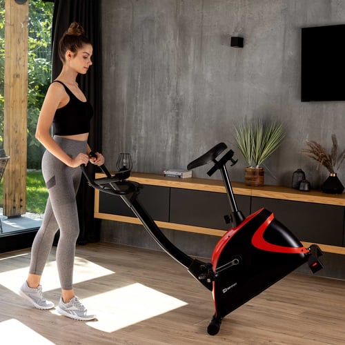 Rower elektryczno-magnetyczny H