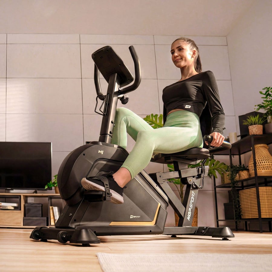 Rower leżący elektryczno-magnet - 3