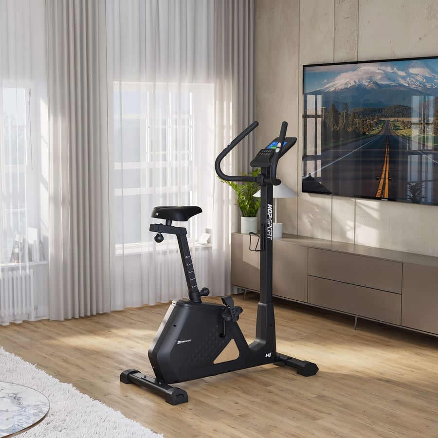 Rower elektryczno-magnetyczny H