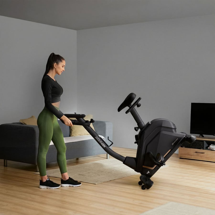 Rower elektryczno-magnetyczny H - 2