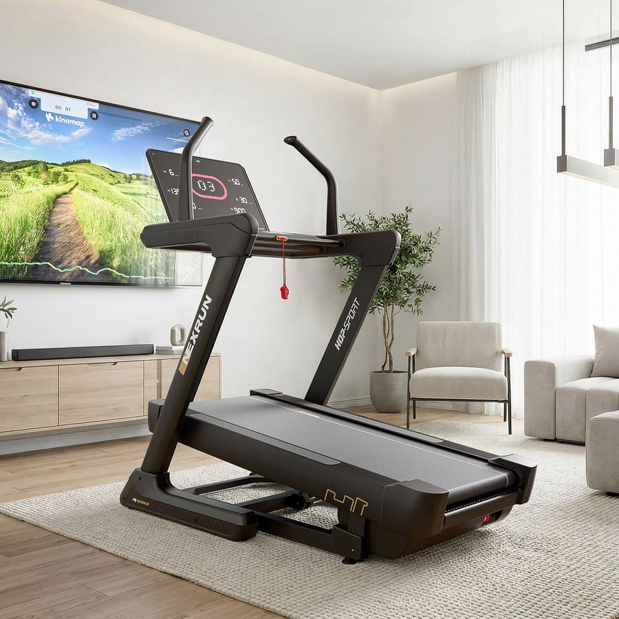 Bieżnia elektryczna HS-6000LB N