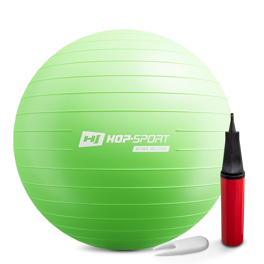 Gym Ball 65cm w/ Pump - 1