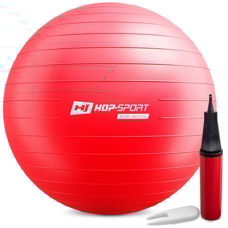 Gym Ball 85 cm w/ Pump - 1