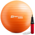 Gym Ball 65cm w/ Pump - 0