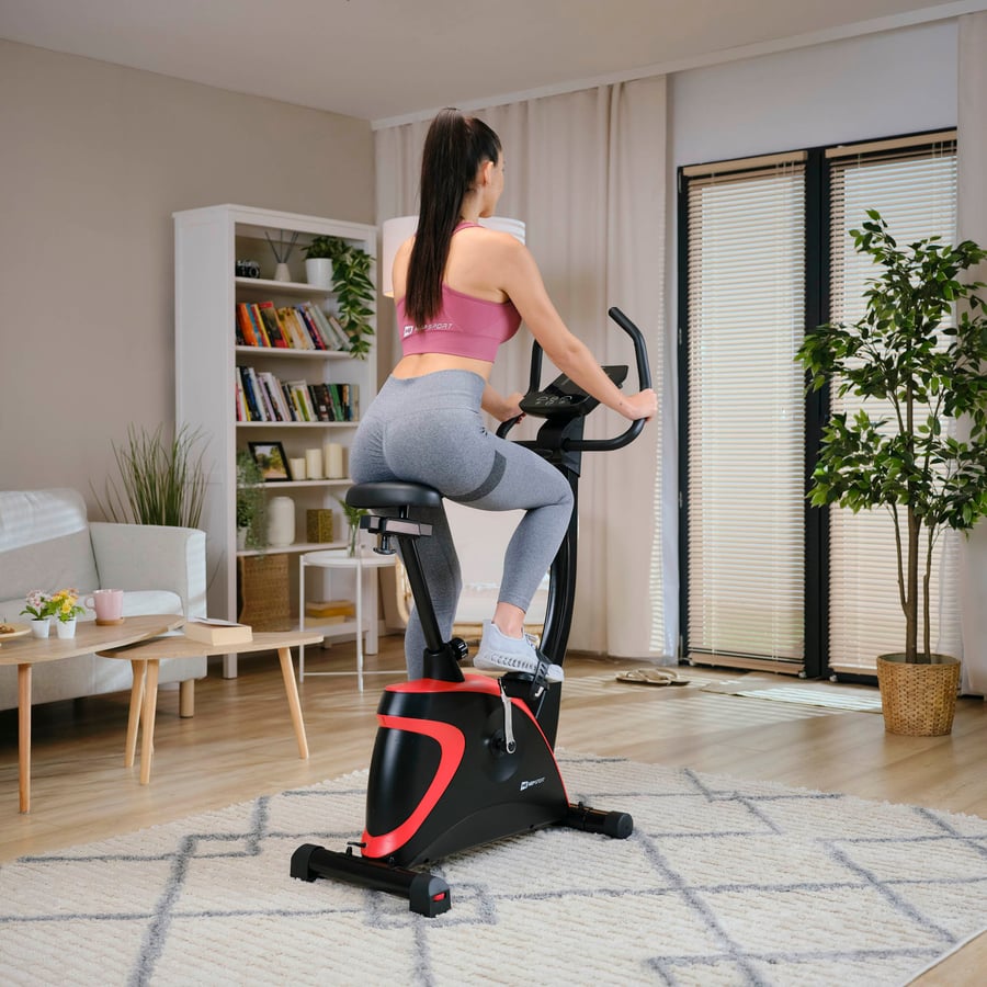 Rower elektryczno-magnetyczny H