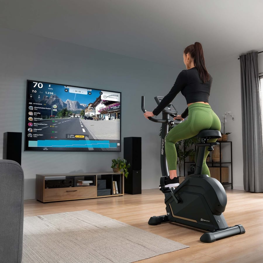 Rower elektryczno-magnetyczny H - 3