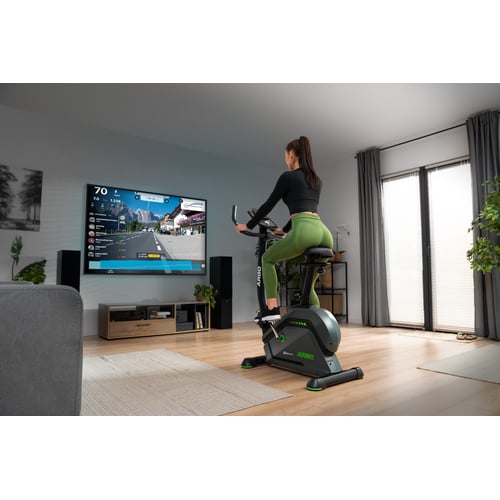 Rower elektryczno-magnetyczny H