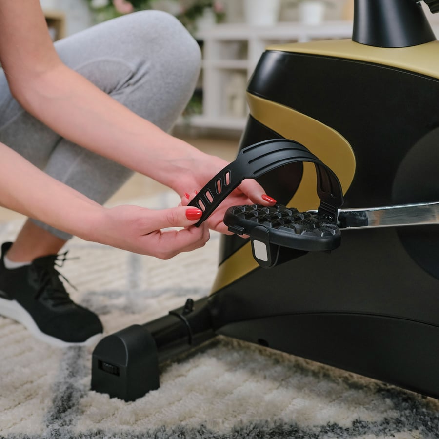 Rower elektryczno-magnetyczny H