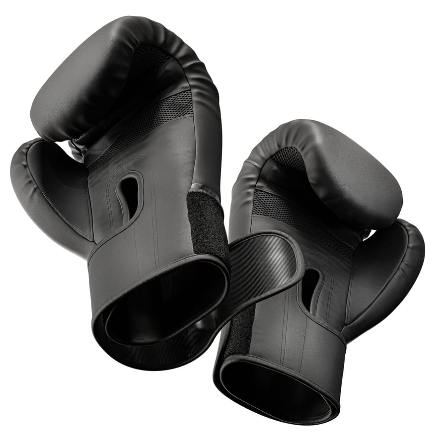 Rękawice bokserskie 12oz HS-BG1