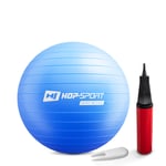 Gym Ball 45cm w/ Pump - 0