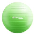 Gym Ball 85 cm w/ Pump - 4