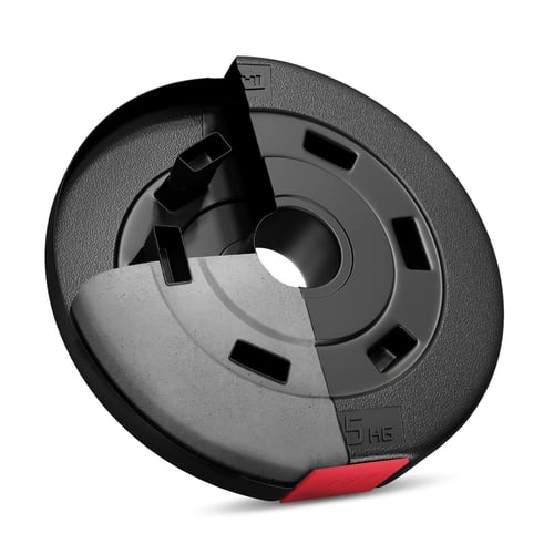 Standard Weights Set 30 kg (2x5