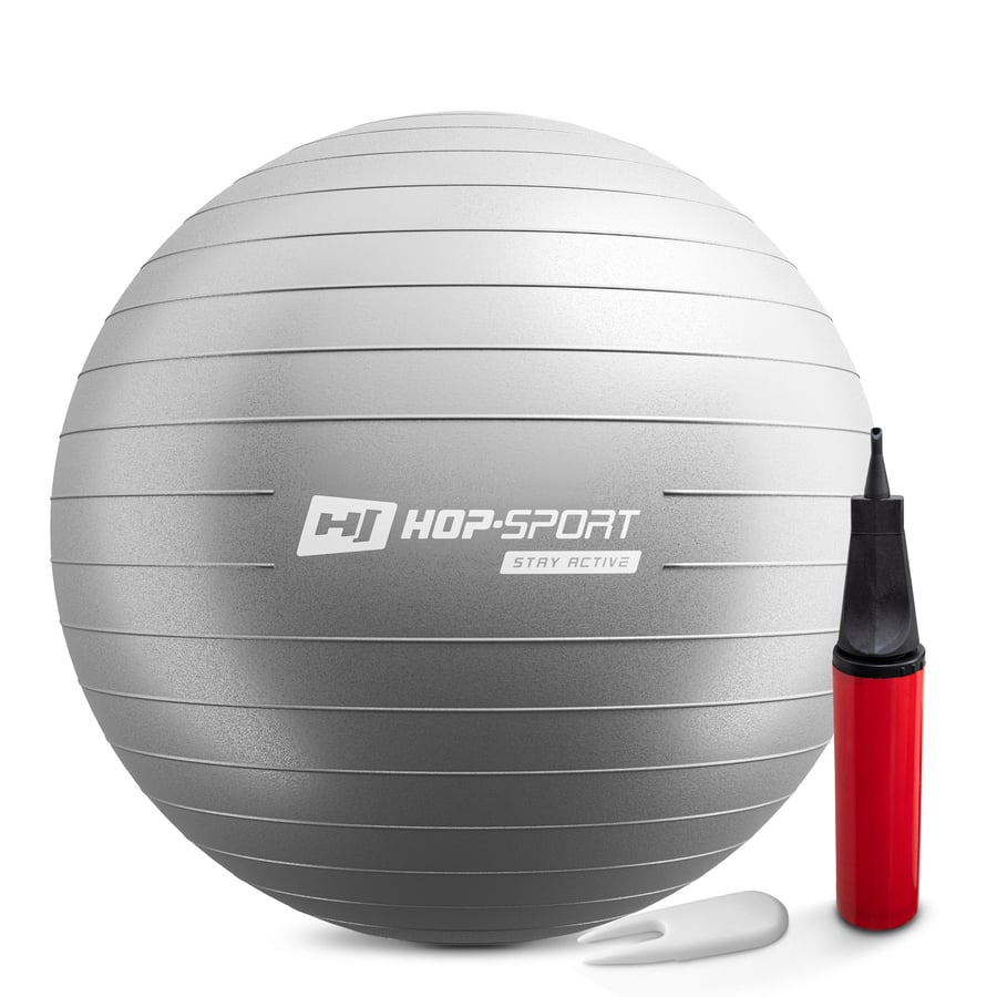 Gym Ball 65cm w/ Pump - 1