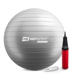 Gym Ball 65cm w/ Pump - 0