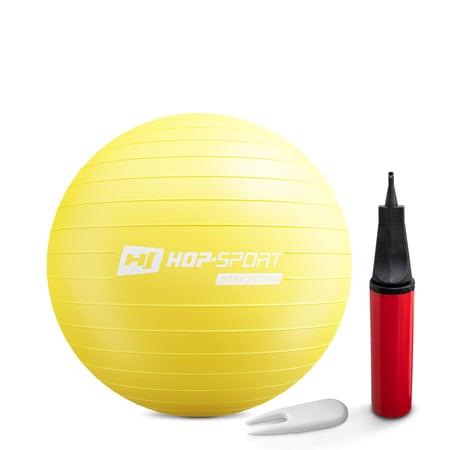 Gym Ball 45cm w/ Pump - 1